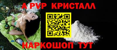 индика Гай