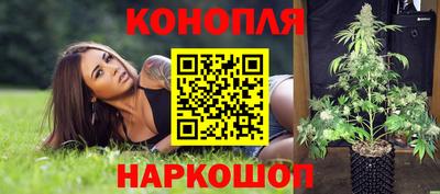 бошки Гагарин