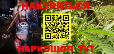 бошки Гагарин