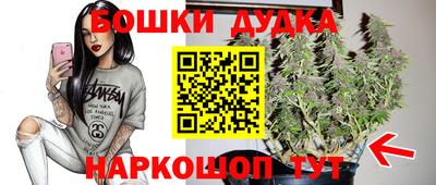 индика Гай