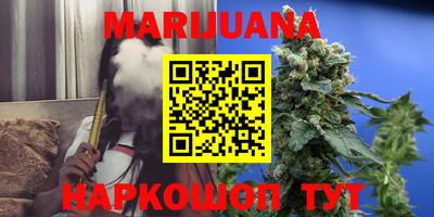 индика Гай