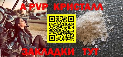 индика Гай