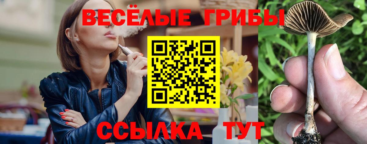 Галлюциногенные грибы Cubensis  Вход с VPN  цена   Минусинск 